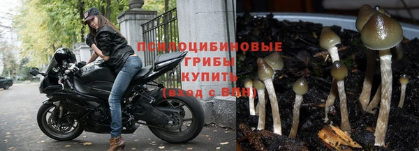 spice Белоозёрский