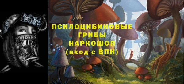 круглые Дмитриев