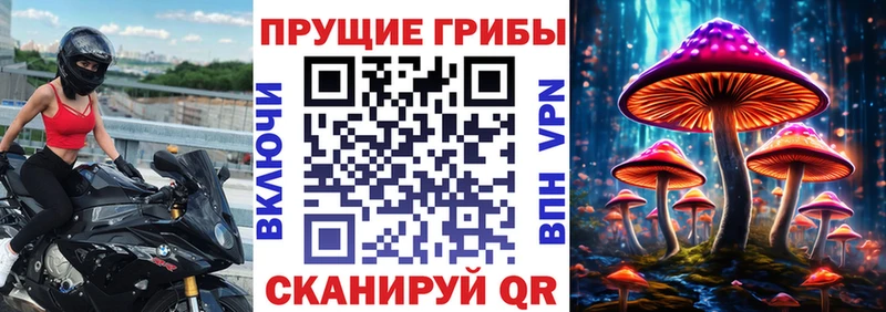 Галлюциногенные грибы GOLDEN TEACHER  Вельск 