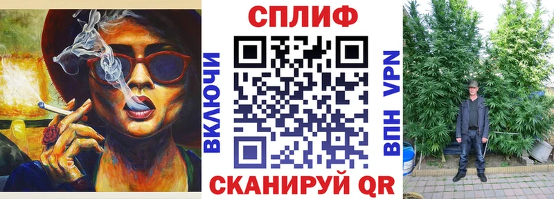 как найти Вельск Бошки Шишки White Widow